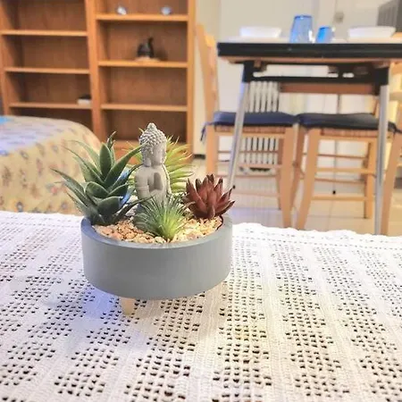 Close To Lyon&parc De Parilly Saint-Priest (Rhone)